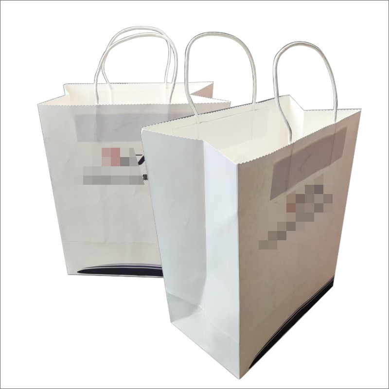 宣传定制手提袋高清大图