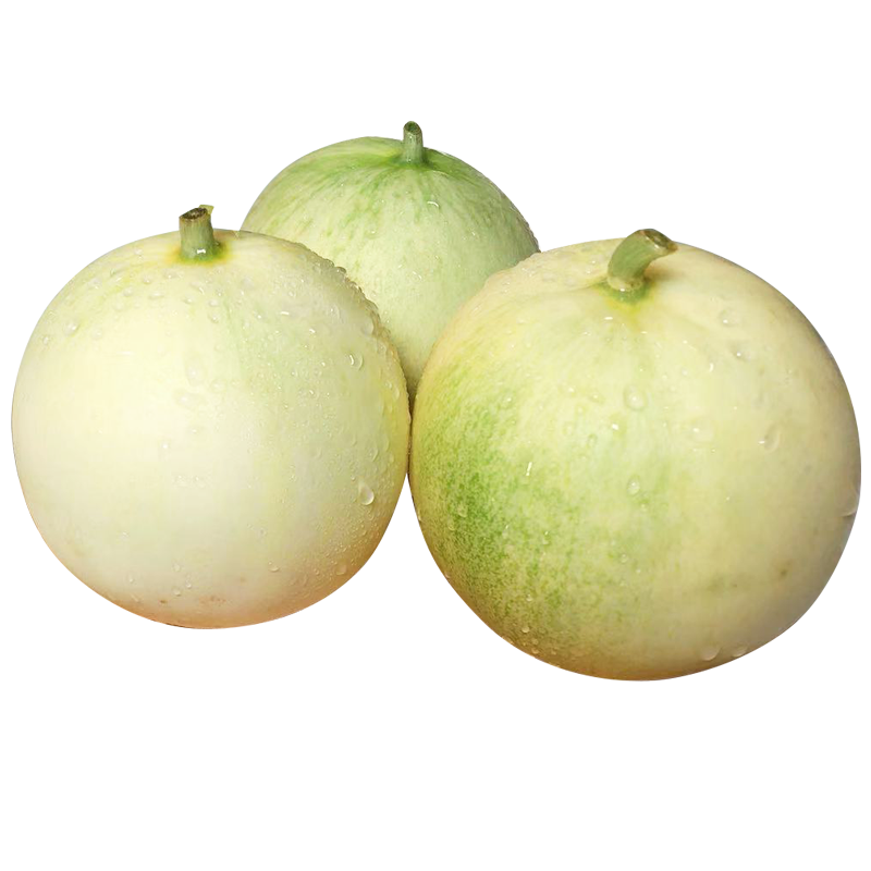 博多客上新云南新鲜郁金香甜瓜当季水果甜瓜25kg约57个