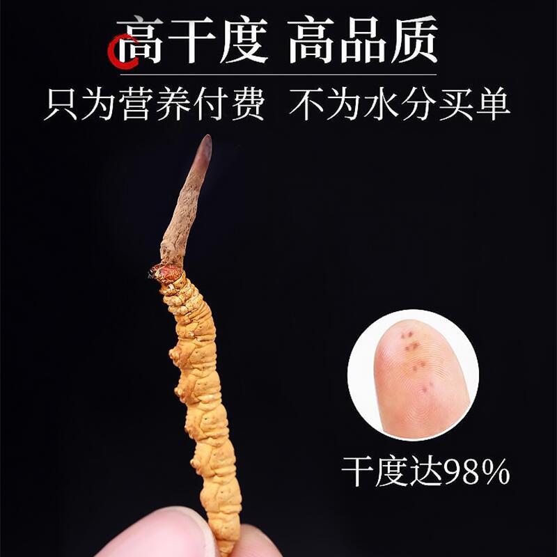 藏华强 冬虫夏草 4根/克 1克装
