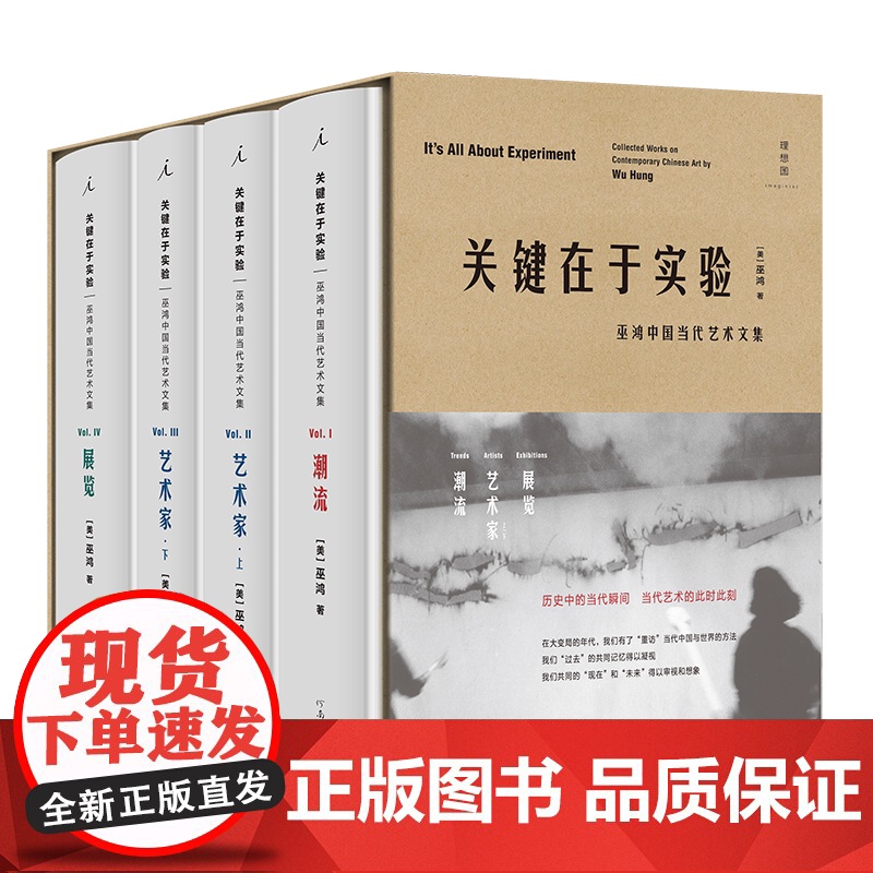 【刷口版】关键在于实验 巫鸿 著 一套中国当代艺术图鉴 理想国图书店