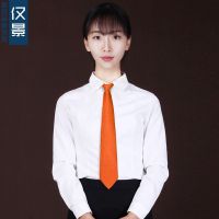 女士拉链领带正装商务职业韩版学院风自动懒人方便免打易拉得_1 橙色（哑光）