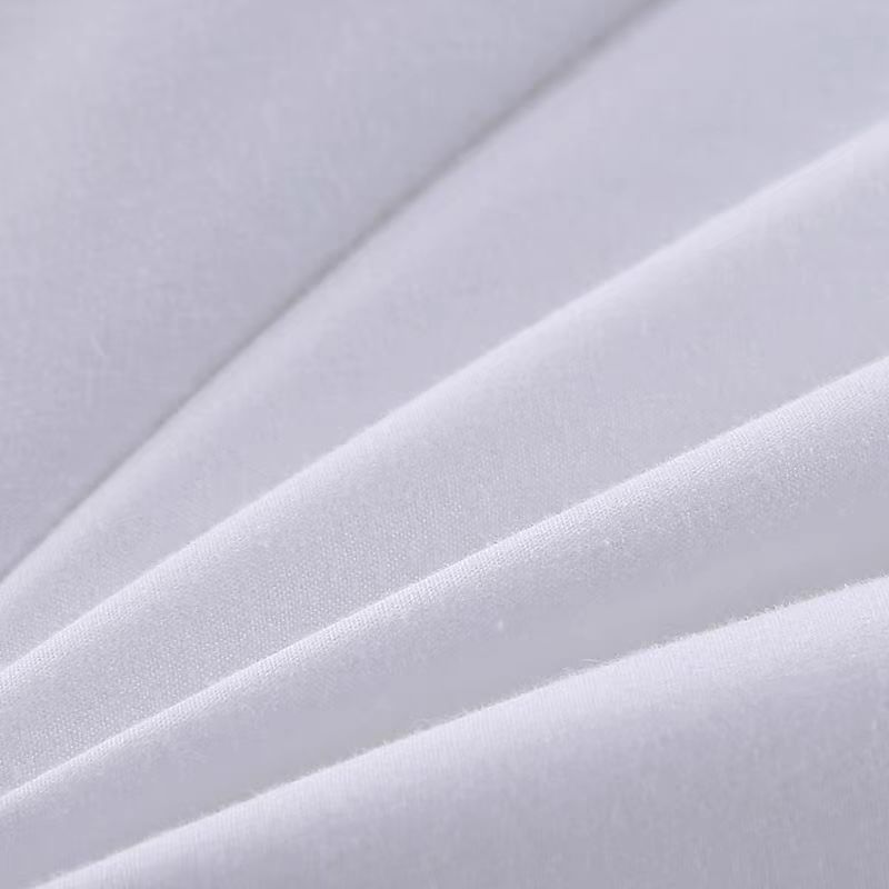 百纳千禧 全棉防羽布羽丝绒被芯 180*220cm*7斤 床高清大图