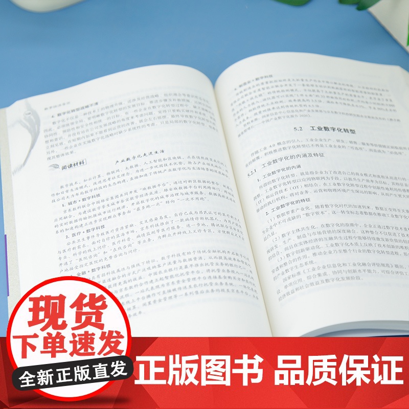 [正版新书]数字经济导论 孙早、杨秀云、王乐、戴小勇、郭磊、林颖、千茜倩 清华大学出版社 数字经济高清大图