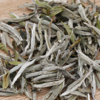 八马掌门茶 白毫银针福鼎白茶 10罐礼盒装40g