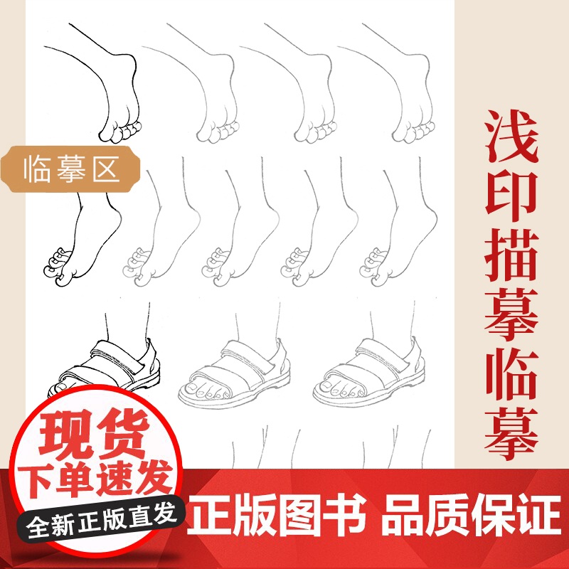 中国画白描入门描摹本国画工笔花卉人物美术套装画本工具描红书初学者画画临摹画册毛笔绘画练习教材高清大图