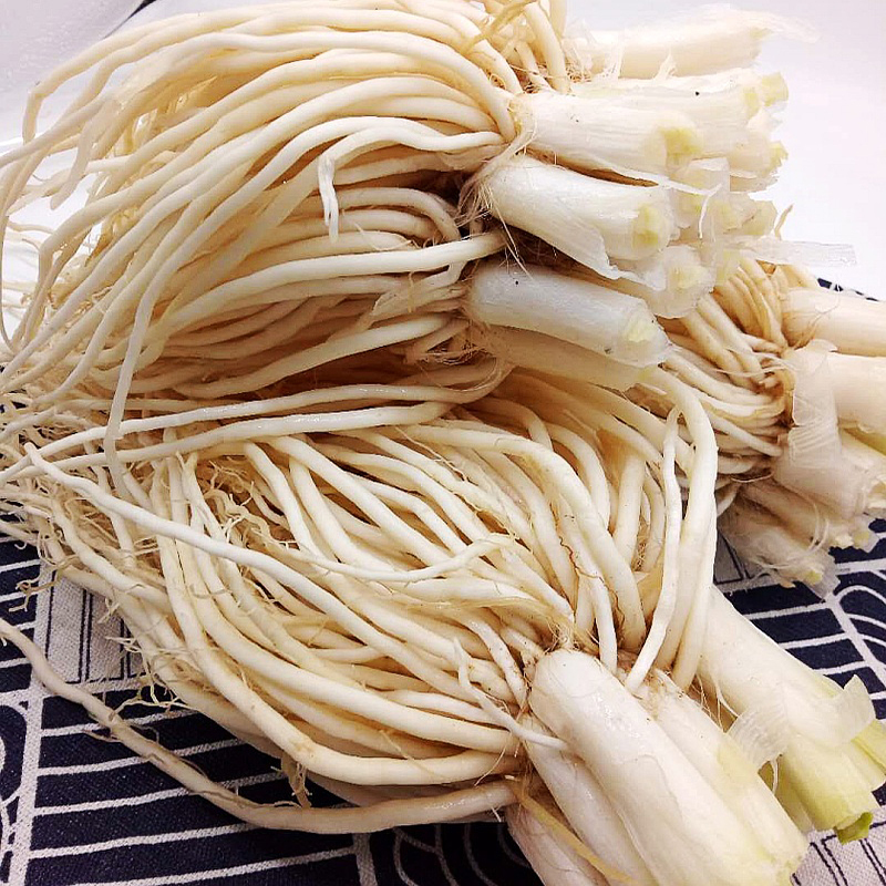 云南苤菜根1.5kg 保山新鲜蔬菜撇菜根用韭菜炖汤小炒腌制