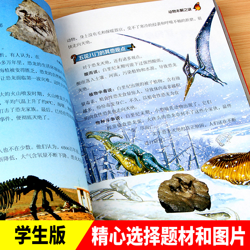 未解之谜 全4册 [正版]未解之谜全4册探索天下学生版恐龙历史地理外星人与UFO中小学生阅读书籍青少年版提升学生探索能力高清大图