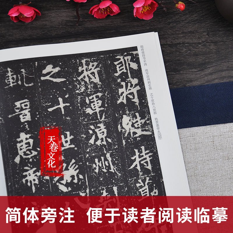 [正版]天卷 北魏 张猛龙碑 历代碑帖 杜浩主编 楷书毛笔字帖软笔书法成人学生临摹临帖练习古帖鉴赏 简体旁注原碑原贴