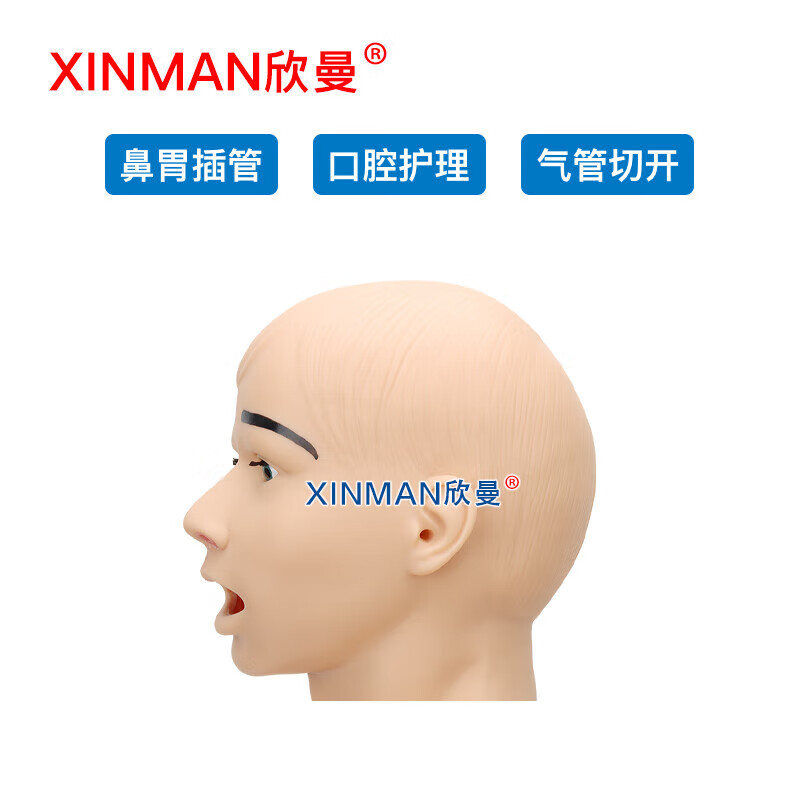 欣曼 高级鼻胃插管及口腔护理模型人 鼻饲模型XM-BWGA高清大图