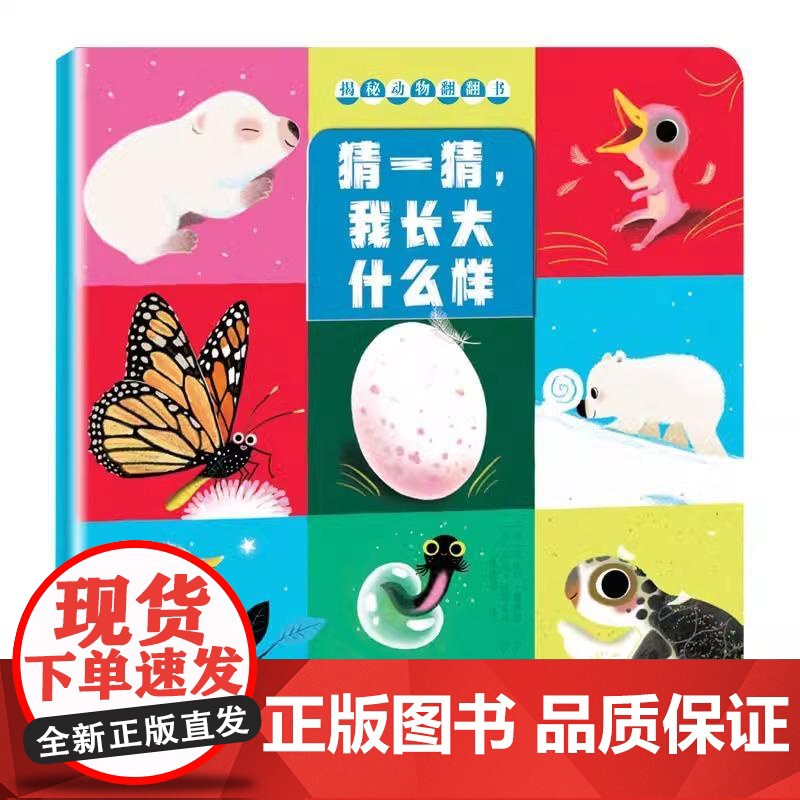 [央视网]揭秘动物翻翻书4册套装 找一找谁住在这里 想一想会发生什么 猜一猜我长大什么样 比一比谁和我一样 XL高清大图