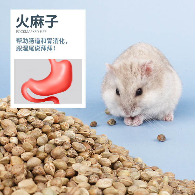 仓鼠粮食主粮五谷金丝熊粮食物用品饲料零食营养套餐自配高清大图
