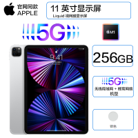 2021年新款 苹果(Apple) iPad Pro 11英寸 M1芯片 256G 全网通5G插卡版+WiFi 平板电脑 银色 海外版