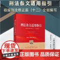 2024新书 刑法条文适用指引 根据刑法修正案（十二）全新编写 时延安 刘传稿 张召国 编 人民法院出版社 978751