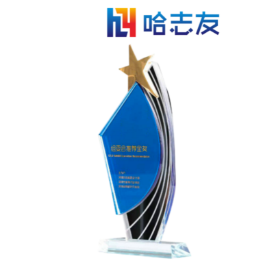 哈志友高档水晶奖杯27cm