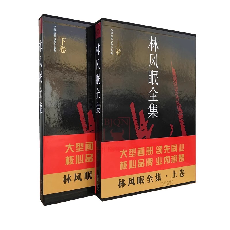 [正版]商城 林风眠全集 上下册高清大图
