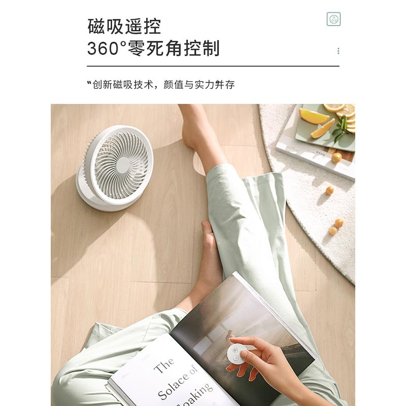 爱登(edon) 风扇e808悬浮挂壁空气循环 白色