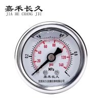 嘉禾长久 耐震压力表检测定制型 YTN50Z 块