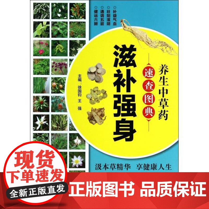 养生中草药速查图典主编徐国钧, 王强福建科学技术出版社9787533545710保健/心理类书籍/中医养生高清大图