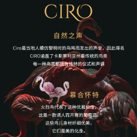 西班牙原瓶进口 达颜自然之声慕合怀特干红葡萄酒750ml