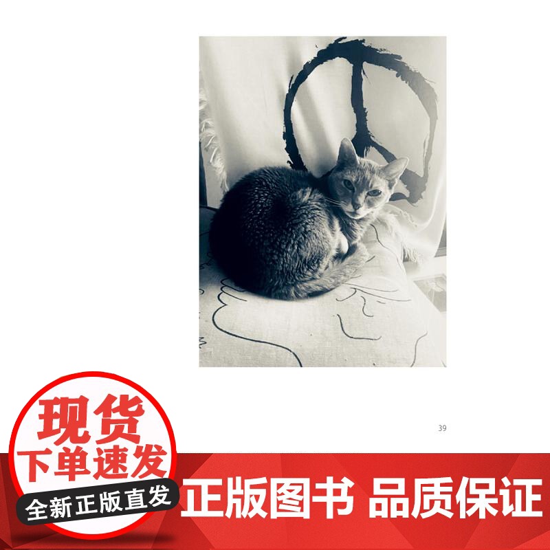 2024豆瓣年度书单]从昨日醒来帕蒂史密斯的影像日记 美国国家图书奖得主新作上海人民朋克教母摇滚桂冠诗人视觉艺术家私藏影高清大图