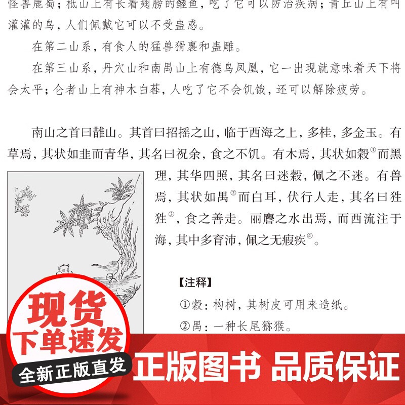 山海经图文版全集全套6册丝绸面精装 文白对照全本山海经原文注释译文 疑难字注音南山经中山经中国历史地理神话故事书正版书籍高清大图