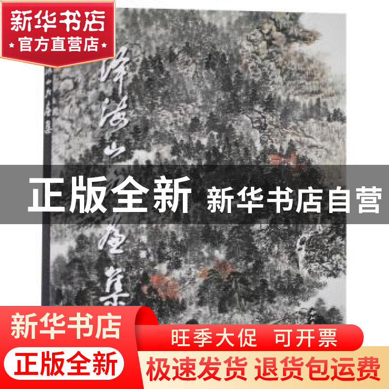 正版 泽海山水画集 泽海著 西北大学出版社 9787560439006 书籍高清大图