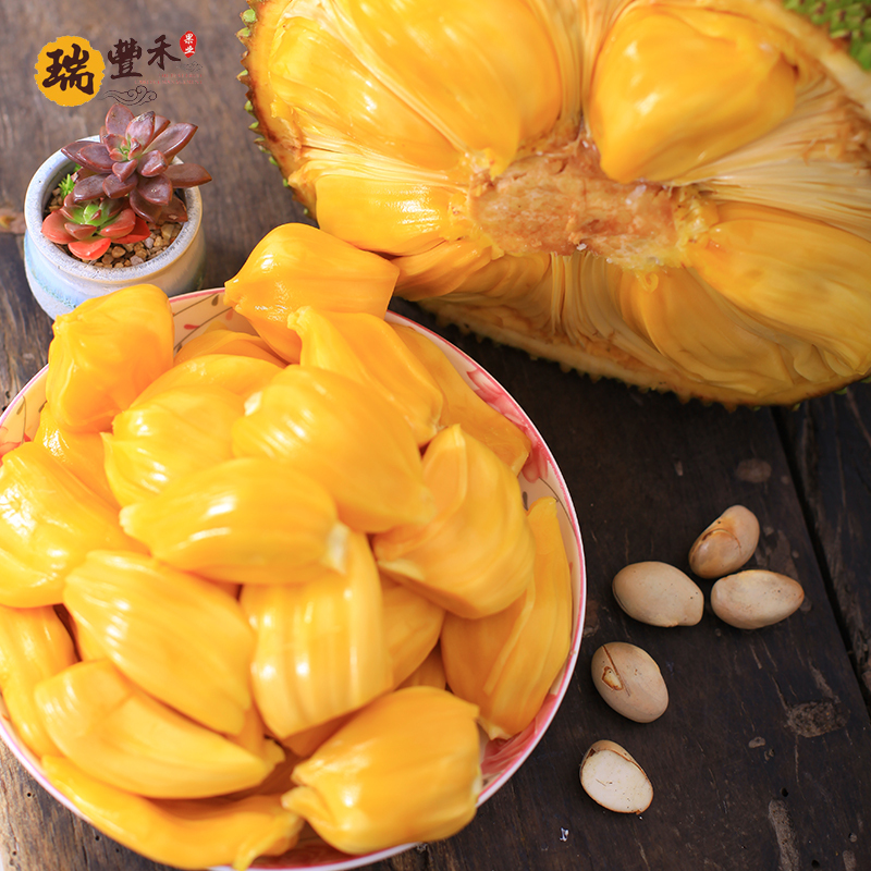 丰哥海南菠萝蜜果产地直发黄肉菠萝蜜新鲜水果生鲜水果1520斤个