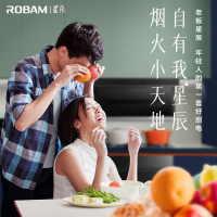 老板ROBAM[星辰系列]烟灶套餐 抽油烟机欧式烟灶23m³大吸力吸油烟机灶具家用燃气灶 双眼灶嵌入式燃气灶