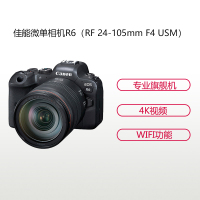 佳能(Canon) EOS R6 (RF24-105F4) 数码单反微单相机 单镜头套装