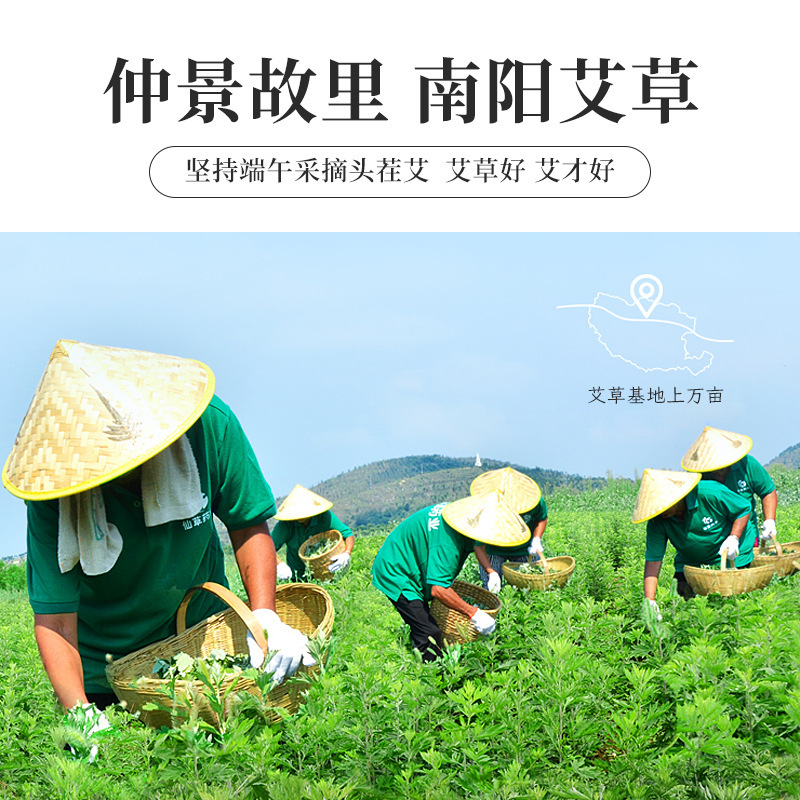 金艾柱 60:1金艾柱艾条艾柱艾灸柱纯艾绒家用五年陈艾灸艾草艾叶 金品艾柱60:1 一盒54柱