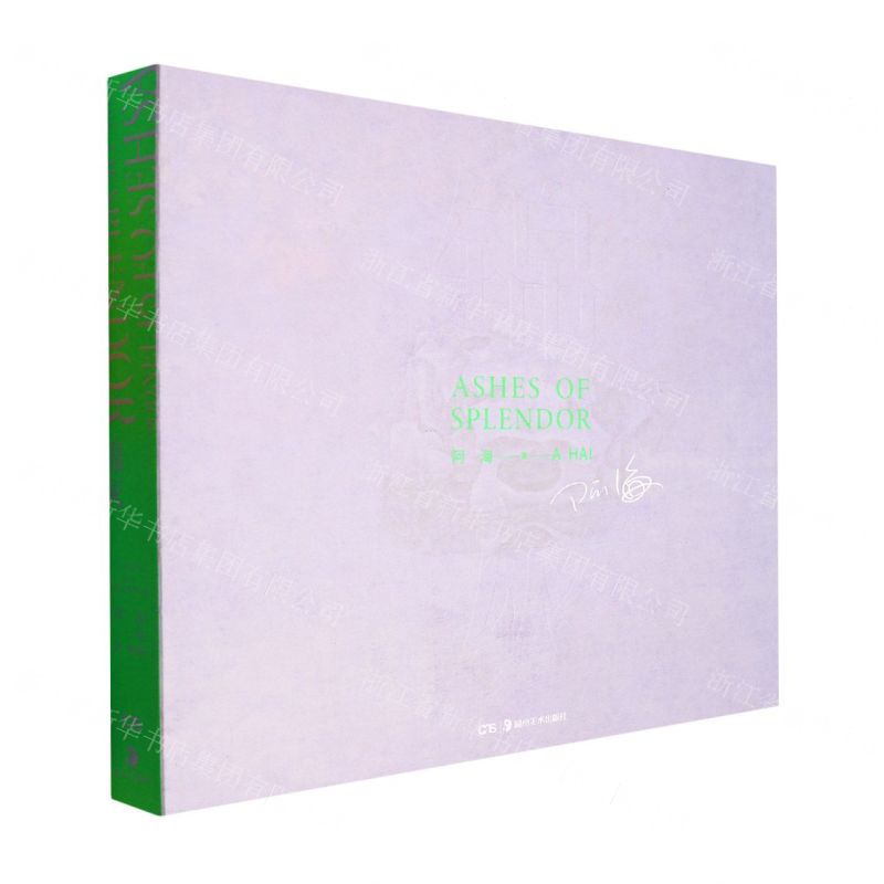 [N]锦灰-9787535697738高清大图