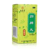九芝堂 归脾丸360丸