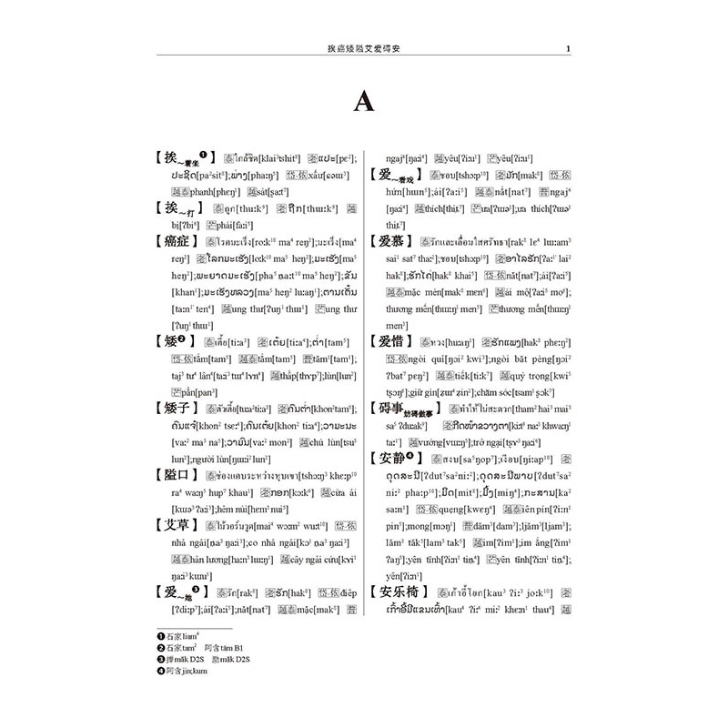醉染图书国外壮侗语族语言词汇集9787519258771高清大图