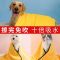 宠物吸水毛巾狗狗泰迪金毛猫咪洗澡速干浴巾大号鹿皮巾用品狗专用 43*32cm猫咪麂皮巾 1件装