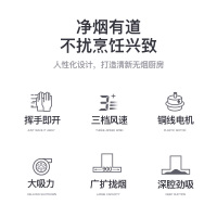 [国标顶配]新飞欧式抽油烟机家用吸烟机大吸力自清洁直吸式脱排油烟机单机顶吸式单烟机平吸式t型排烟罩 仙风