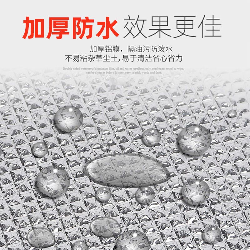户外地垫防潮垫便携加厚垫子野餐帐篷床垫睡觉打地铺学生宿舍隔潮 两面无压纹 长180cm宽60cm 厚度10MM