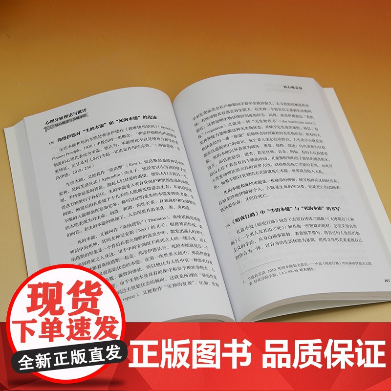 [正版新书]心理分析理论与批评100核心概念与关键术语 朱振武、王文娴 清华大学出版社 心理分析理论高清大图