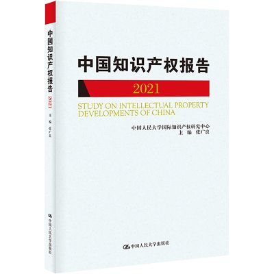 中国知识产权报告 2021