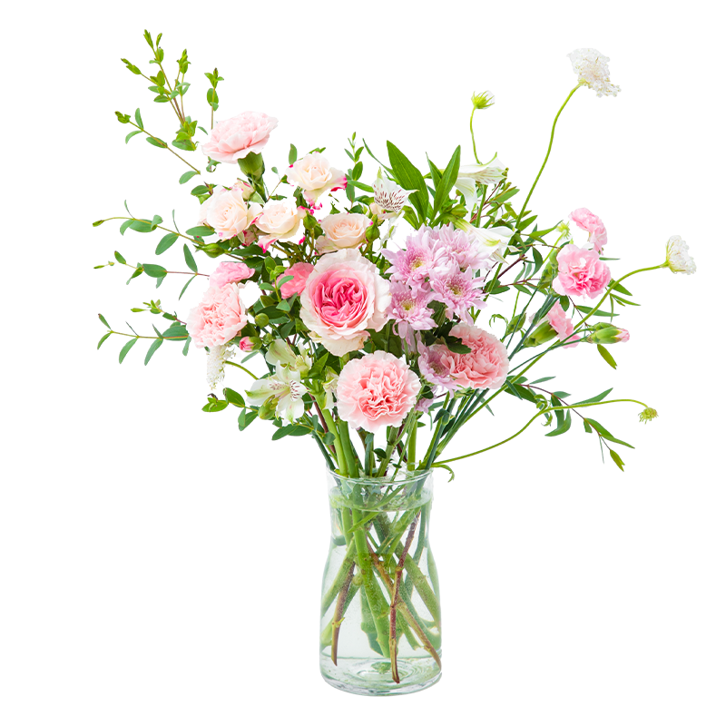 花点时间花晨月夕(实物玫瑰、小菊、康乃馨、水仙百合等花材,72小时发货、电话保持畅通)