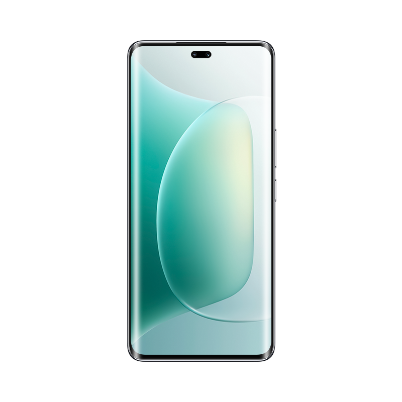 荣耀300 Pro 茶卡青 12GB+512GB 第三代骁龙8芯 5G 5300毫安青海湖电池 100W快充 拍照手机高清大图