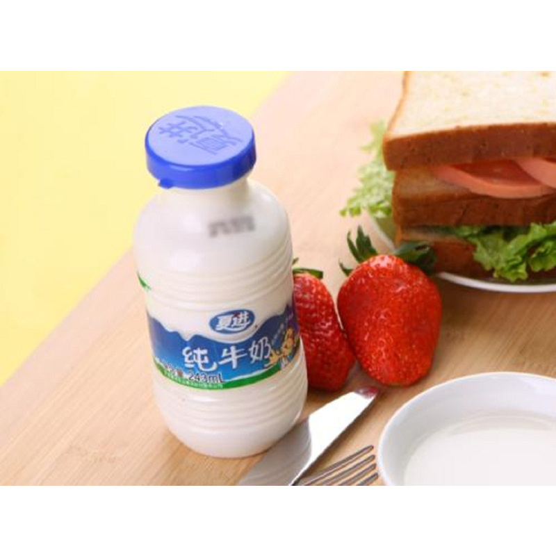 夏进纯牛奶243ml