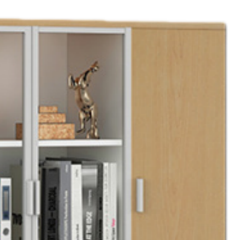 乐琪艺 两门文件柜高清大图