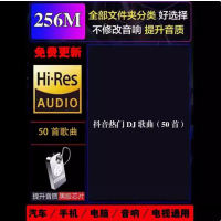 2024近期更新歌车载音乐u盘热门网络流行中文dj无损mp3优盘高清 256M【50首流行DJ歌曲】