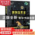 博物馆黑客(AI盗宝者)