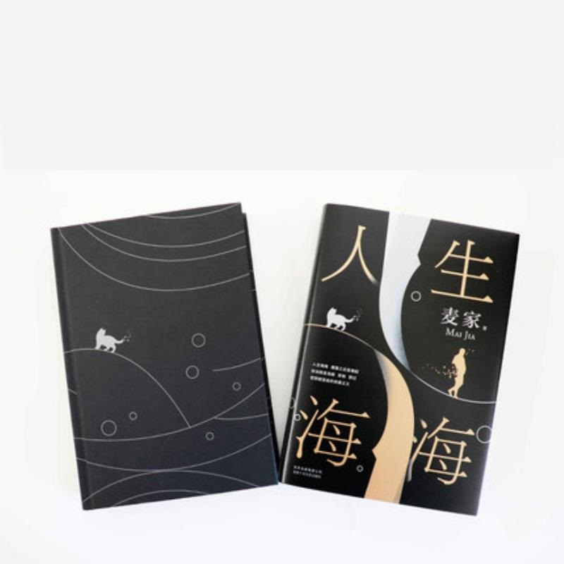 人生海海 麦家著