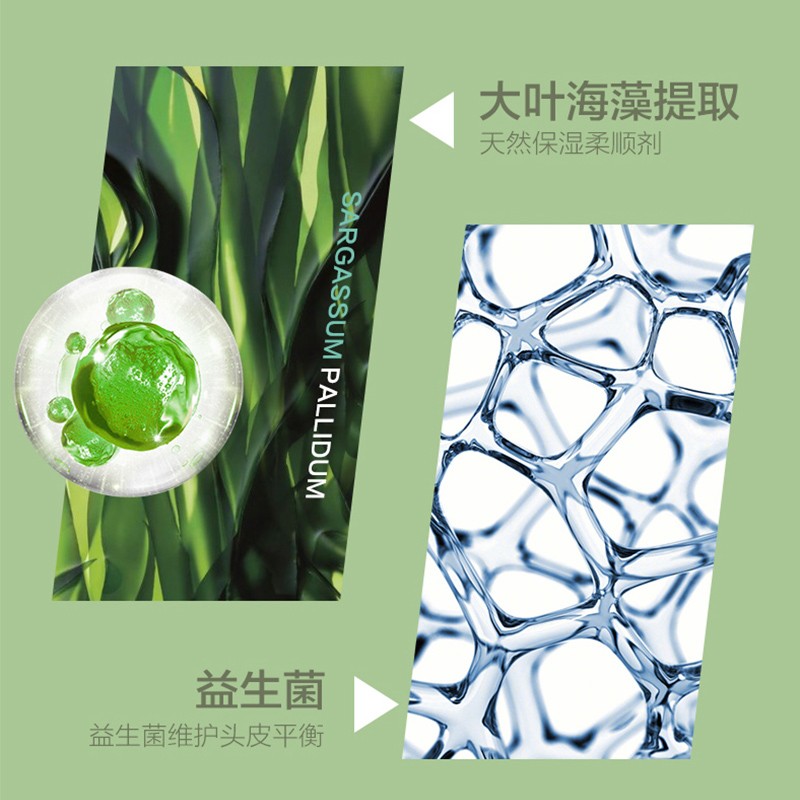 柏缇(POTE) 475ml 洗发水 计价单位:瓶 绿色高清大图
