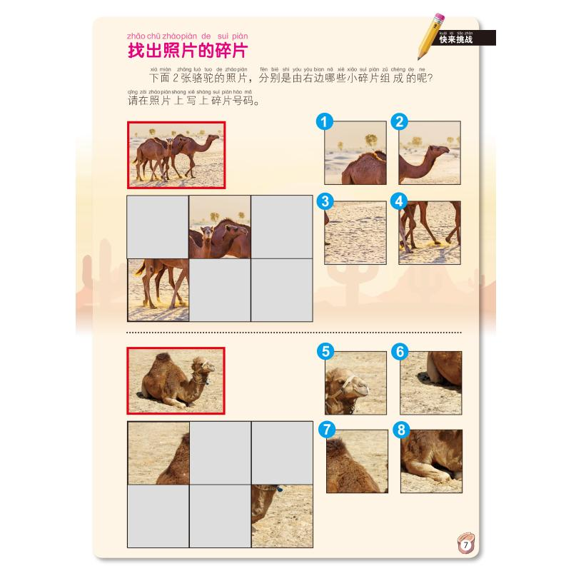 【M】小牛顿探秘自然乐玩游戏--极地探险沙漠探险 小牛顿团队著 著 -9787531586005