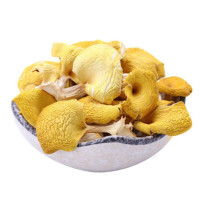 WAHL 鸡油菌袋装黄金菇香菇食材新货食用菌500g 单位:斤