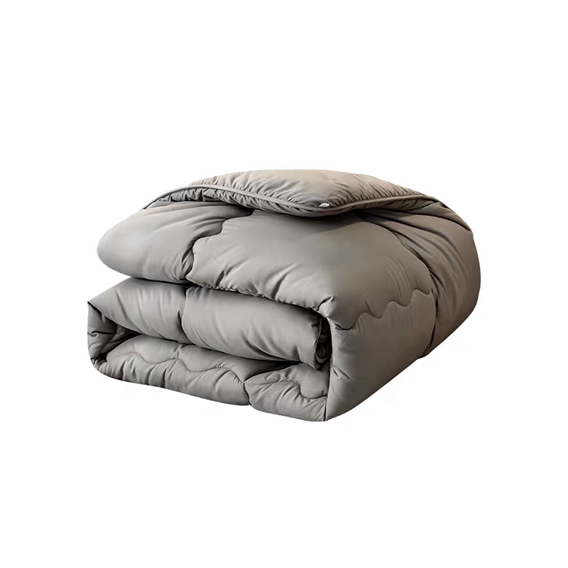 【理政】丝绵被 单双人春秋被 宿舍公寓丝棉被 1.8米高清大图