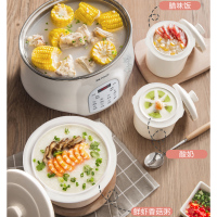天际DGD25-25EWG电炖炖锅不锈钢隔水炖锅陶瓷内胆一锅三胆2-3L/2.5升煲汤煮粥锅燕窝炖盅家用全自动预约